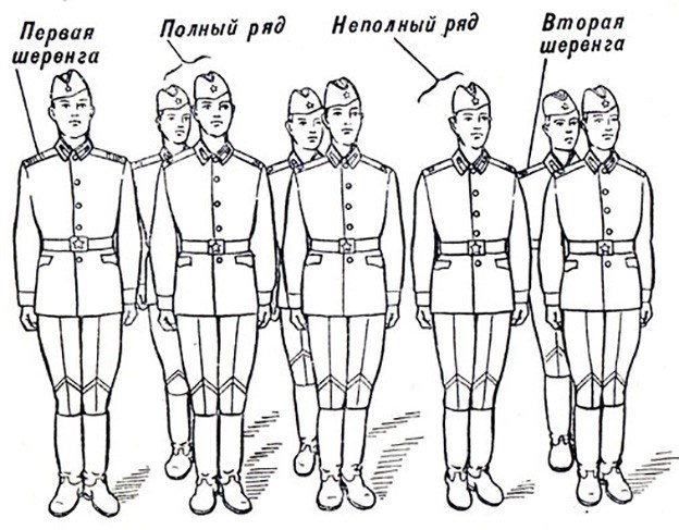 Виды строя и дистанция в армии: колонна, ряд, шеренга и интервал
