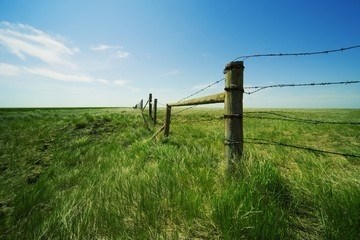 Основные аспекты и функции фонда перераспределения земель