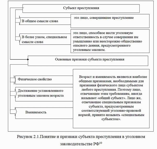 Понятия вины и умысла в противоправных действиях лица