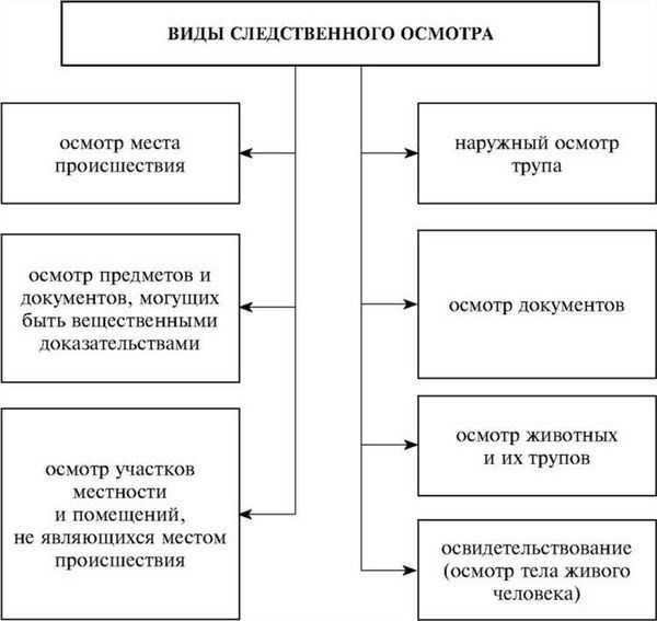 Проведение следственного эксперимента в уголовном процессе