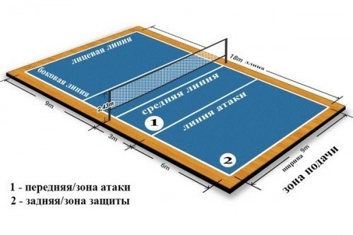 Сетка и стойки