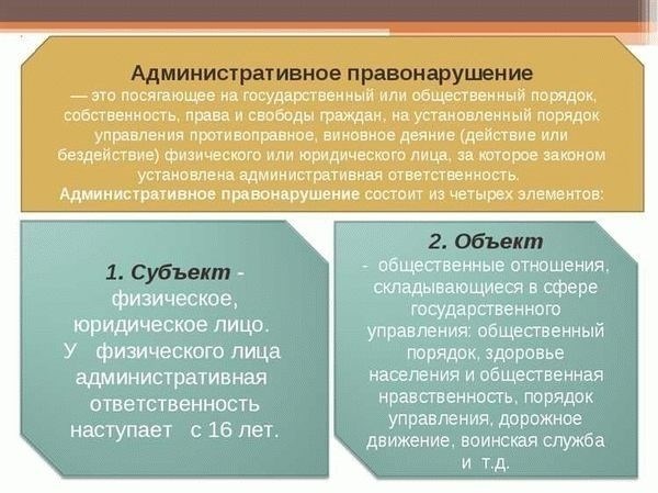 Гражданские правонарушения: примеры, понятие, признаки